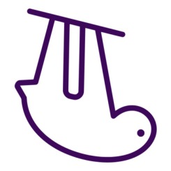 logo_size_icon